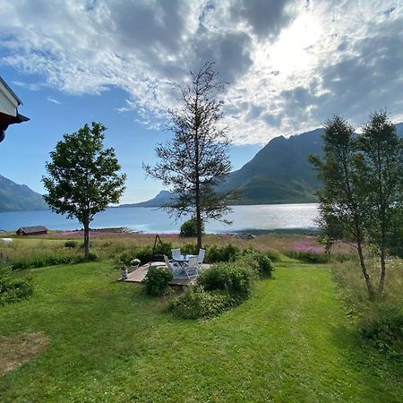 Unique And Charming House At The Foot Of Lofoten'S Highest Mountain Svolvær Εξωτερικό φωτογραφία