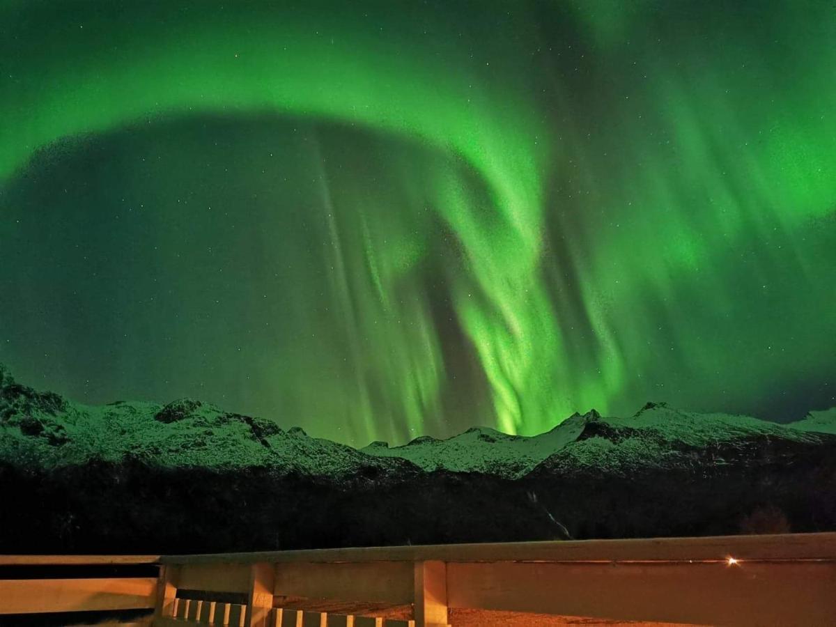 Unique And Charming House At The Foot Of Lofoten'S Highest Mountain Svolvær Εξωτερικό φωτογραφία