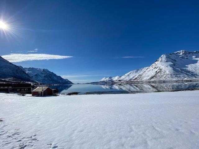Unique And Charming House At The Foot Of Lofoten'S Highest Mountain Svolvær Εξωτερικό φωτογραφία