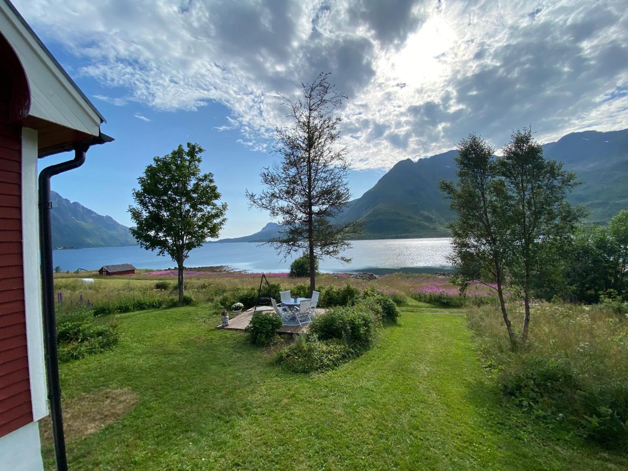 Unique And Charming House At The Foot Of Lofoten'S Highest Mountain Svolvær Εξωτερικό φωτογραφία